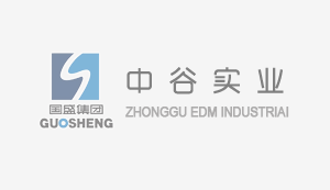 【喜迎二十大】習近平在黨的二十大上所作的報告